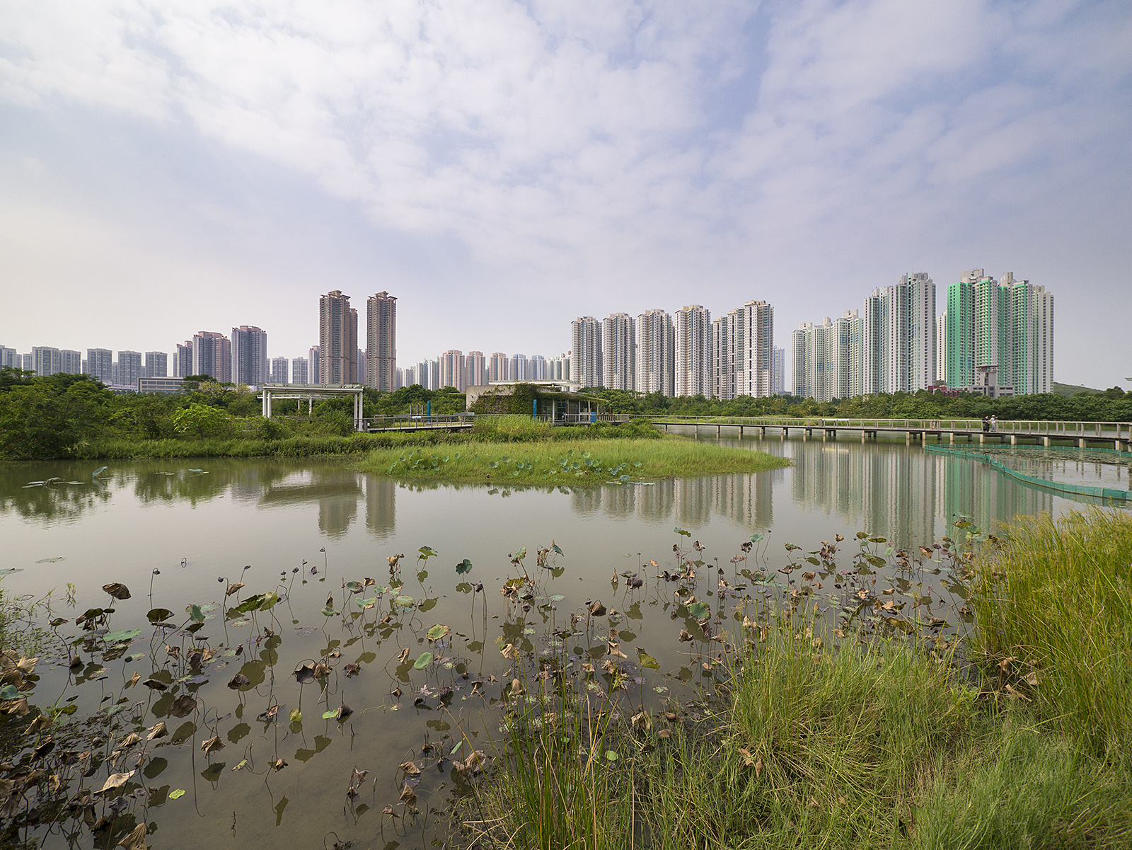 Nature conservation in the wetland park | Croucher Foundation