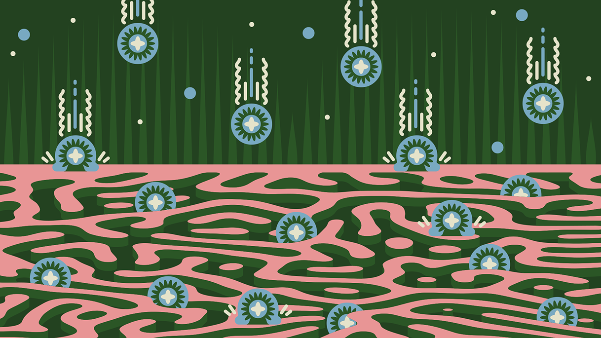 Mass transport in nanopores