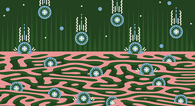 Mass transport in nanopores