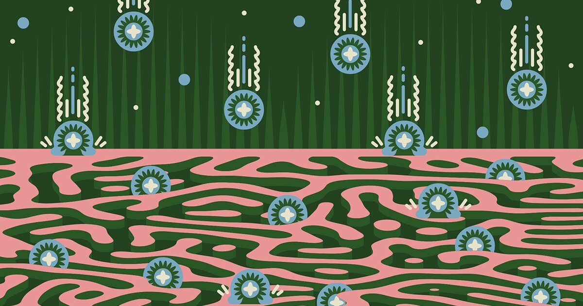Mass transport in nanopores