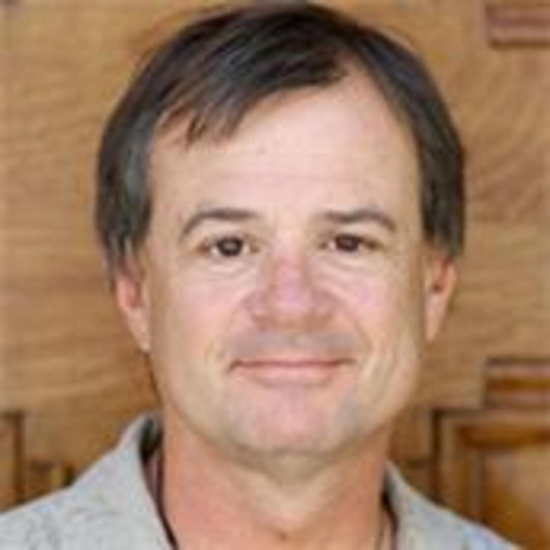 Professor David Hutchins