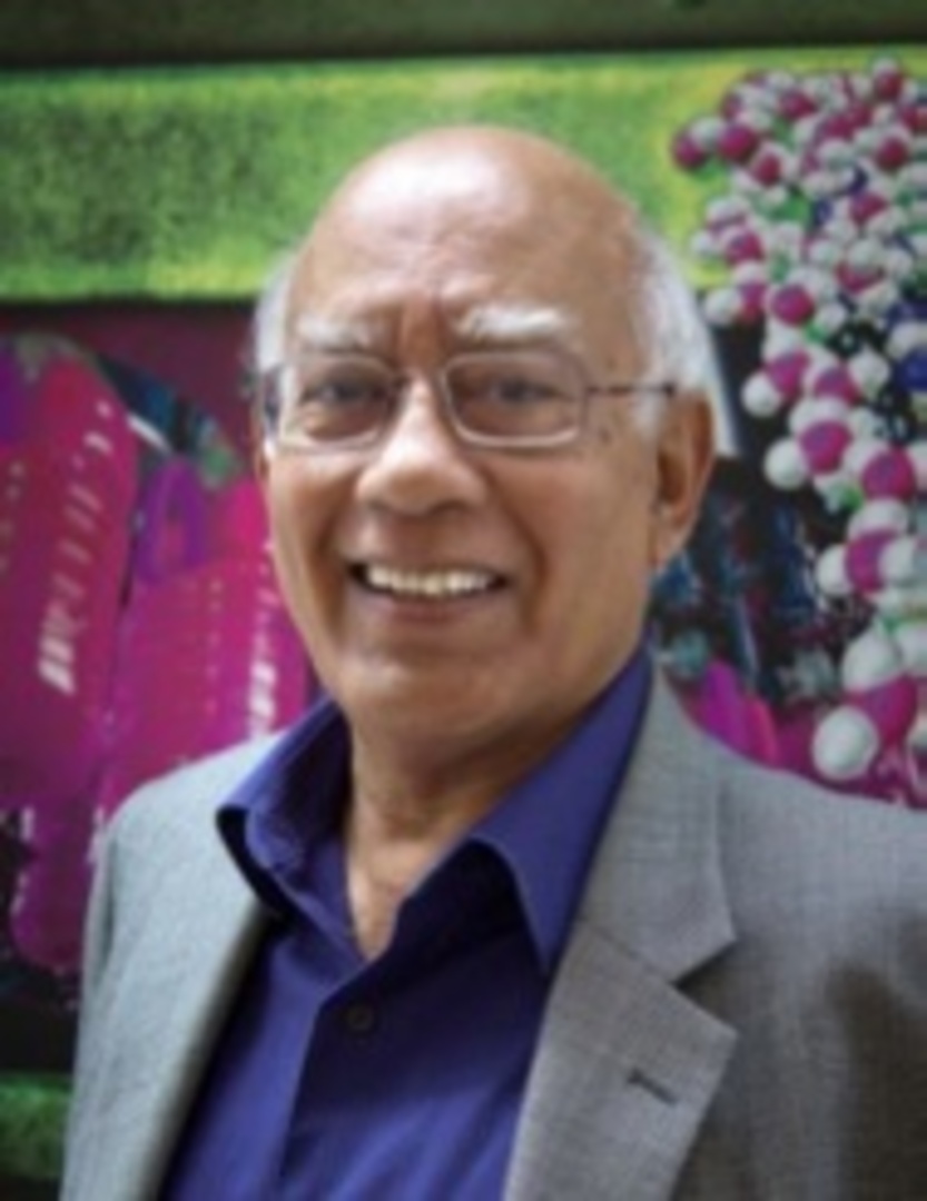 Professor Sunil K. Sinha