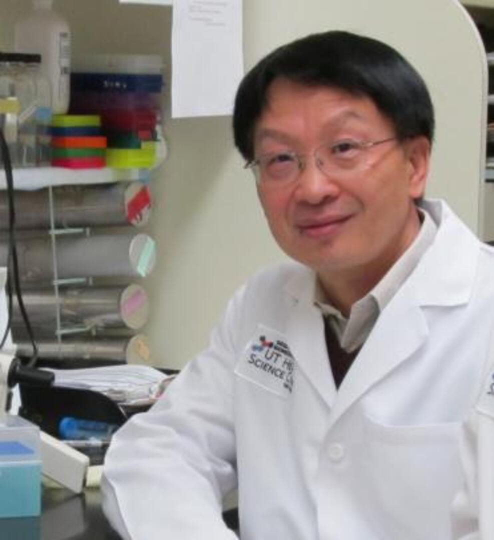 Professor Feng Liu
