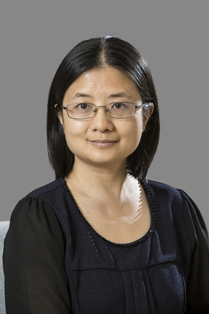 Professor Ping Yuan