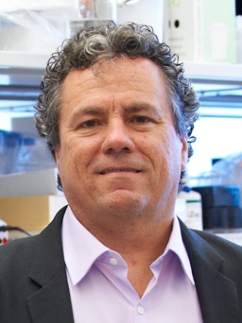 Professor Scott Lowe