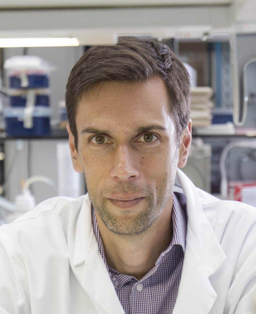 Dr Erik Sahai