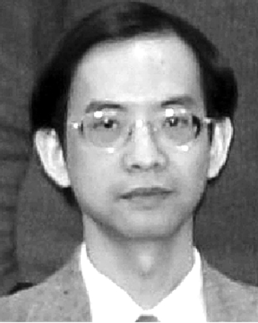 Professor Wayne  Luk