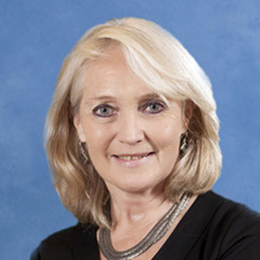 Professor Sian GRIFFITHS, OBE, JP