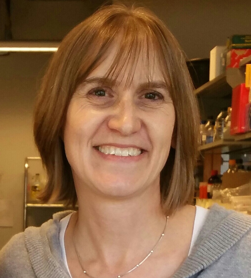 Professor Diane Clare Bassham