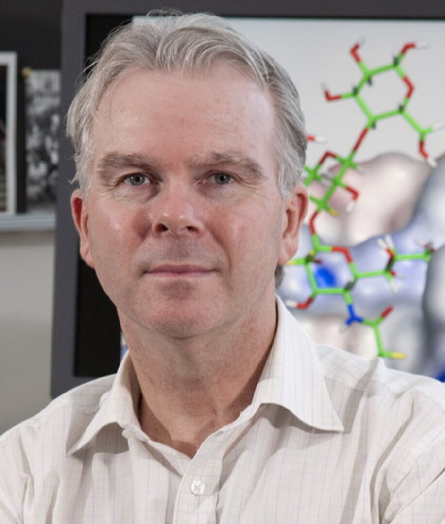Professor Mark von Itzstein
