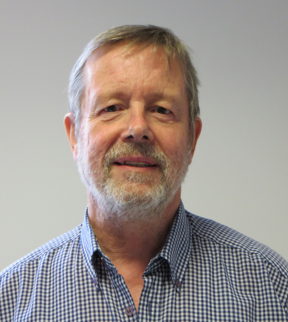 Professor Gareth E Jones
